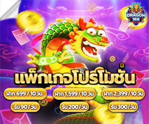 โปรแพ็จเกจเหมาจ่าย 10 วัน 